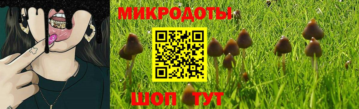 как найти закладки  Вход с VPN  Галлюциногенные грибы Psilocybe  Ялуторовск  Галлюциногенные грибы мухоморы 