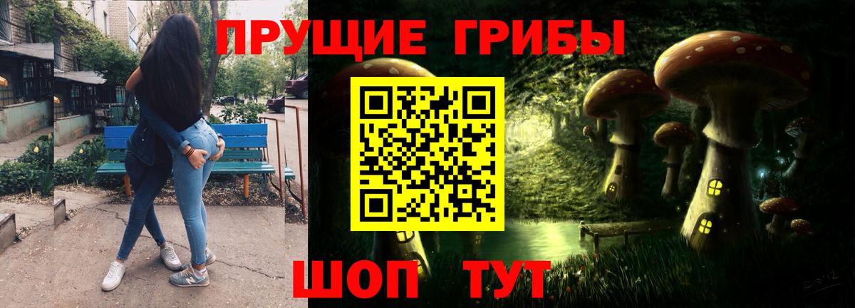 Псилоцибиновые грибы Psilocybine cubensis Ялуторовск